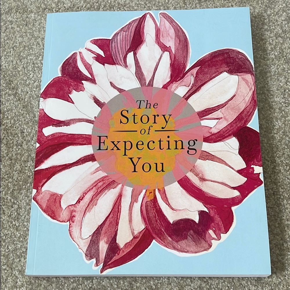 Pregnancy Journal Workbook